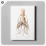 1-92_Ernst-Haeckel_canvas