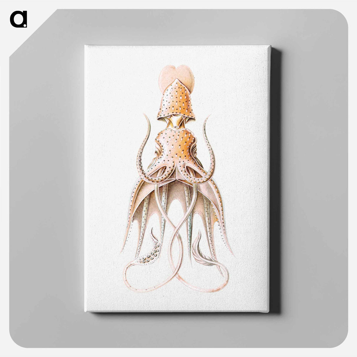 Vintage squid marine life illustration - エルンスト ヘッケル Canvas.