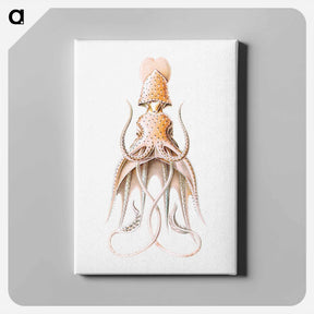 アートパネル-Vintage squid marine life illustration - エルンスト ヘッケル Canvas.