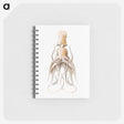 1-92_Ernst-Haeckel_memo