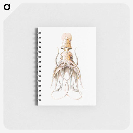 1-92_Ernst-Haeckel_memo