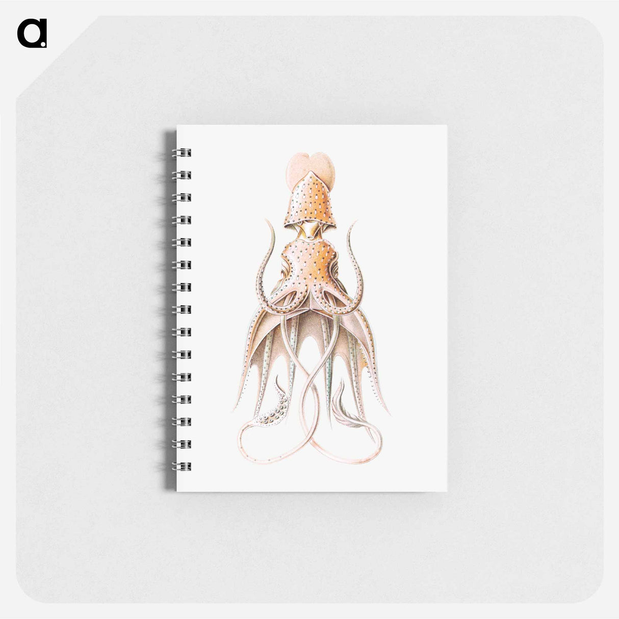 アートメモ帳-Vintage squid marine life illustration - エルンスト ヘッケル Memo.