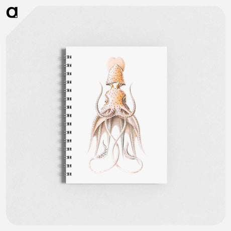 アートメモ帳-Vintage squid marine life illustration - エルンスト ヘッケル Memo.