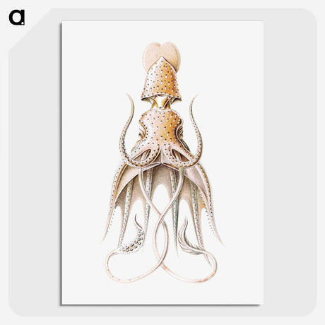 1-92_Ernst-Haeckel_picture-crop