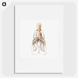 1-92_Ernst-Haeckel_picture