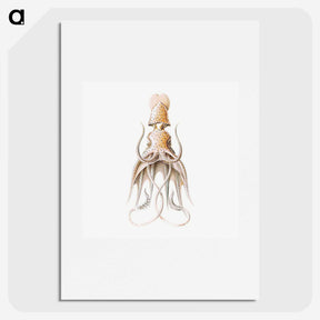 1-92_Ernst-Haeckel_picture