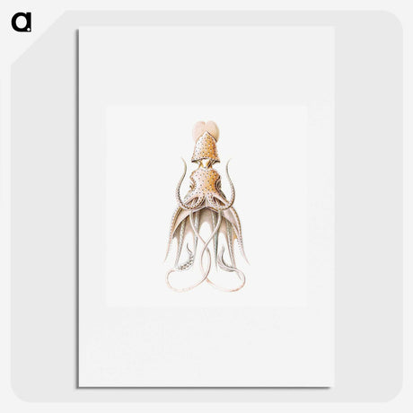 1-92_Ernst-Haeckel_picture