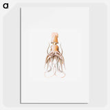 Vintage squid marine life illustration - エルンスト ヘッケル Poster.