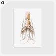 1-92_Ernst-Haeckel_postcard