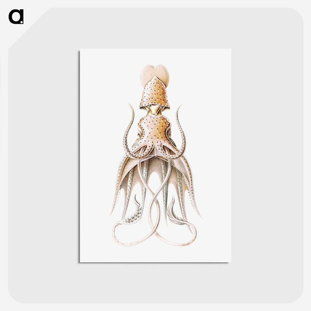 1-92_Ernst-Haeckel_postcard