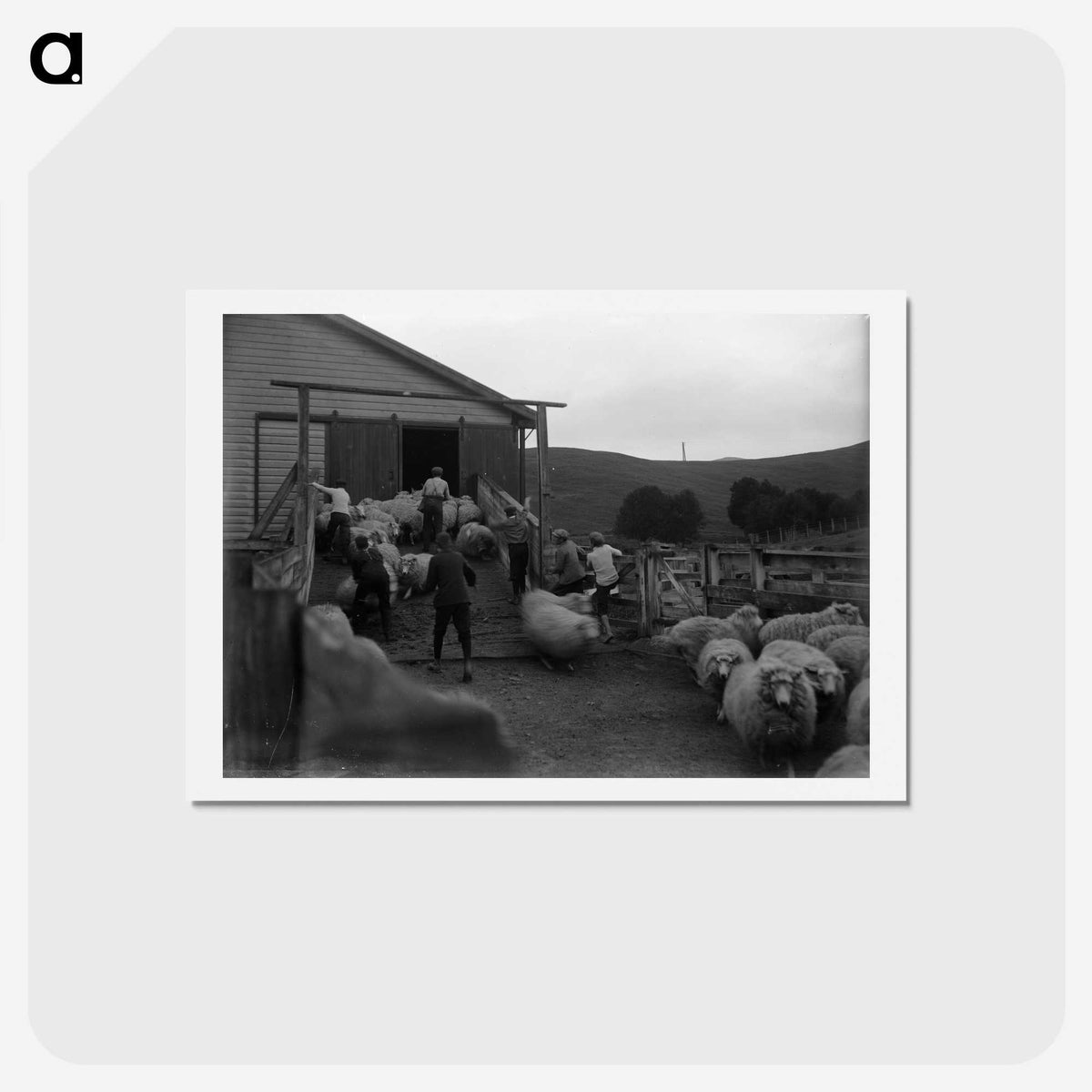 1-92_Frederick-Charles-Brockett_hagaki