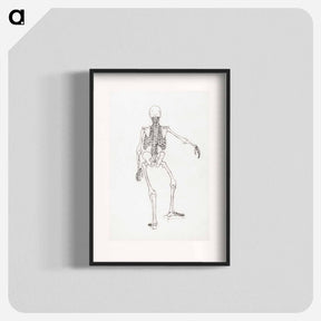 アートポスター-Human Skeleton, Posterior View
 - ジョージ スタッブス Poster.