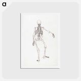 アートポストカード-Human Skeleton, Posterior View
 - ジョージ スタッブス Postcard.