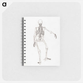 アートメモ帳-Human Skeleton, Posterior View
 - ジョージ スタッブス Memo.