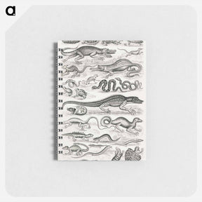 アートメモ帳-Reptiles
 - ゴールドスミスの生き生きとした自然 Memo.