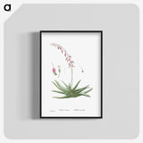 1-92_Histoire-des-Plantes-Grasses_blk-crop