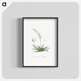 1-92_Histoire-des-Plantes-Grasses_blk