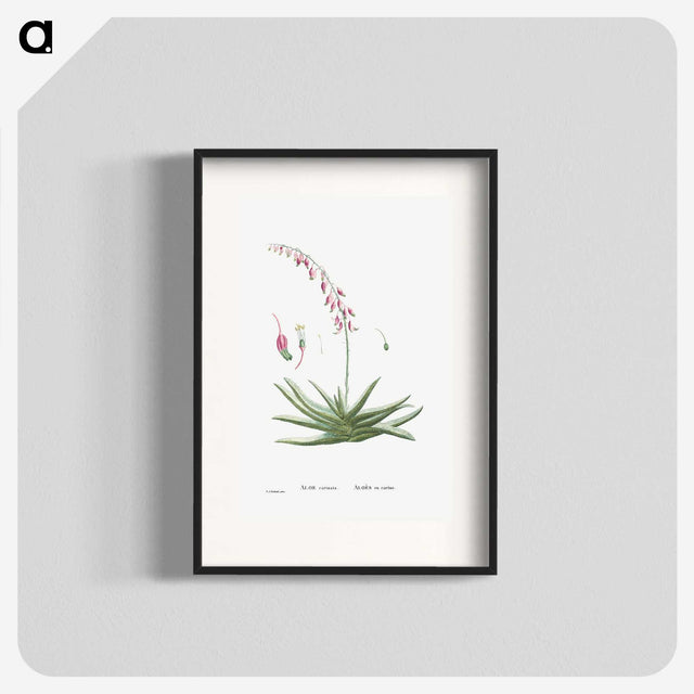 1-92_Histoire-des-Plantes-Grasses_blk