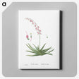 1-92_Histoire-des-Plantes-Grasses_canvas