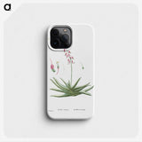 1-92_Histoire-des-Plantes-Grasses_phone