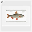 1-92_Ichtyologie-ou-Histoire-naturelle_picture