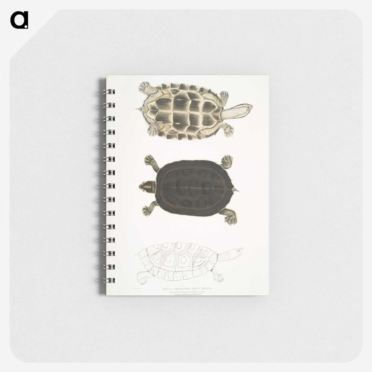 1-92_Indian-Zoology_memo