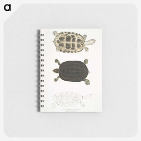 1-92_Indian-Zoology_memo