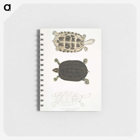 1-92_Indian-Zoology_memo
