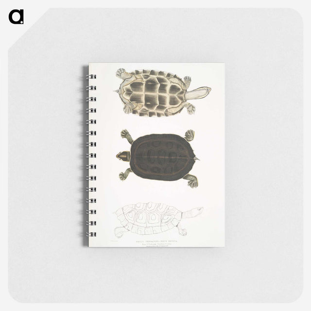 1-92_Indian-Zoology_memo