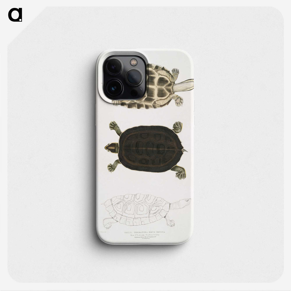 1-92_Indian-Zoology_phone