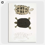1-92_Indian-Zoology_picture-crop