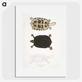 1-92_Indian-Zoology_picture
