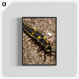 1-92_Insects-Unlocked-Project_blk-crop