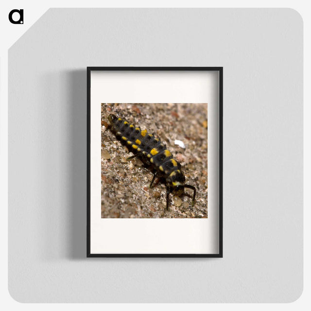 1-92_Insects-Unlocked-Project_blk