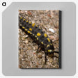 1-92_Insects-Unlocked-Project_canvas