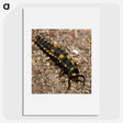 1-92_Insects-Unlocked-Project_picture