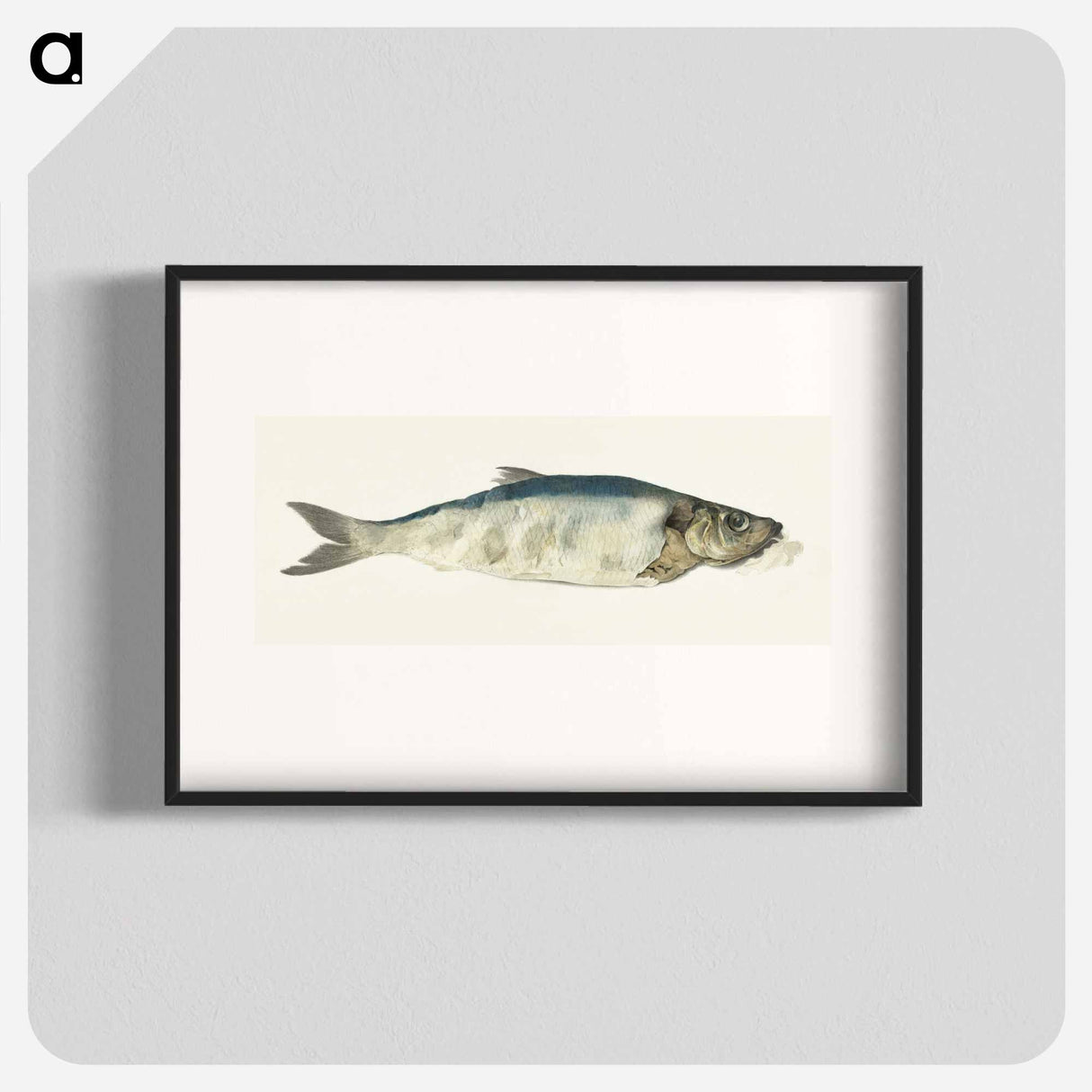 Fish, partly perished - ジャン ベルナール Poster.