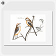 1-92_Johan-Teyler_picture
