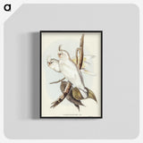 1-92_John-Gould_blk-crop