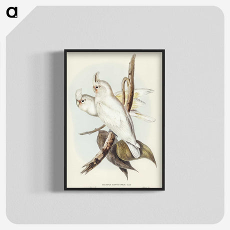 1-92_John-Gould_blk-crop