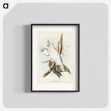 1-92_John-Gould_blk