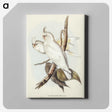 1-92_John-Gould_canvas