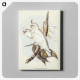1-92_John-Gould_canvas