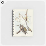 1-92_John-Gould_memo