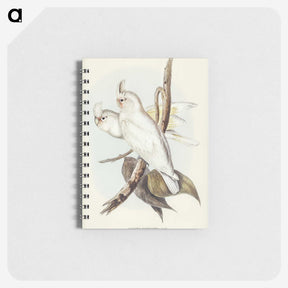 1-92_John-Gould_memo