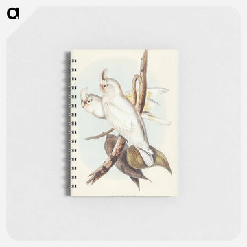 Blood-stained Cockatoo
 - ジョン グールド Memo.