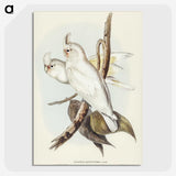 1-92_John-Gould_picture-crop