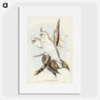 1-92_John-Gould_picture