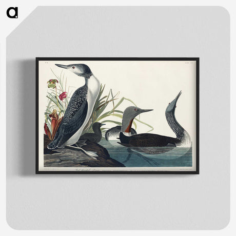 1-92_John-James-Audubon_blk-crop