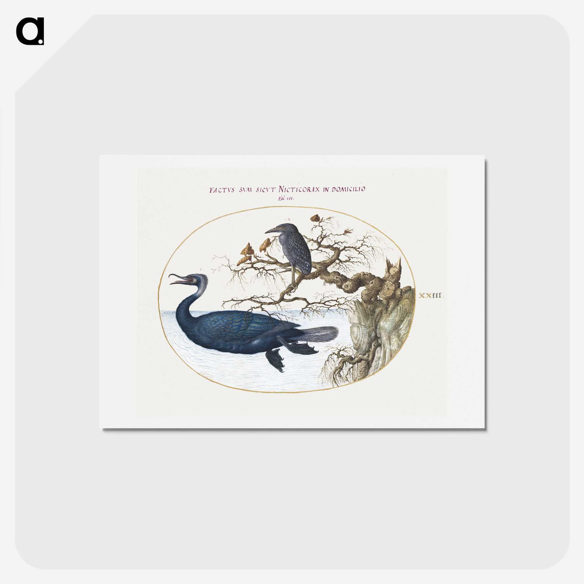 1-92_Joris-Hoefnagel_hagaki